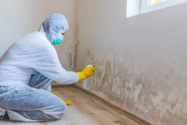 Commercial Mold Remediation assessment for commercial property in Perkasie